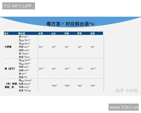 杭州网球队配合分析：战术执行与团队默契的深度对比探讨